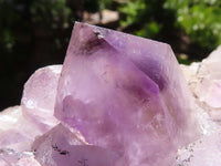 Natural Jacaranda Amethyst Clusters  x 2 From Mumbwa, Zambia - TopRock