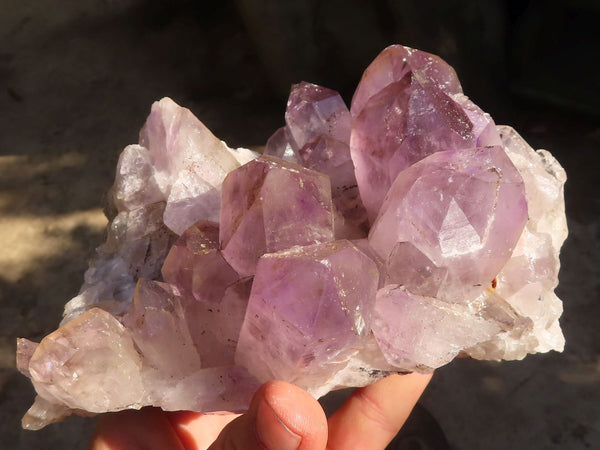 Natural Jacaranda Amethyst Clusters  x 2 From Zambia