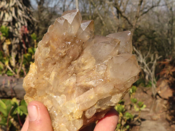 Natural Cascading Smokey Quartz Clusters x 3 From Luena, Congo