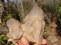 Natural Cascading Smokey Quartz Clusters x 3 From Luena, Congo