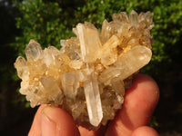 Natural Small Mixed Quartz Clusters  x 35 From Madagascar - Toprock Gemstones and Minerals 