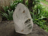 Polished Large Chlorite "Moss" Included Quartz Crystal x 1 From Madagascar - TopRock