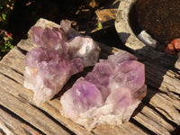 Natural Jacaranda Amethyst Clusters  x 2 From Zambia