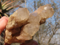 Natural Cascading Smokey Quartz Clusters x 3 From Luena, Congo