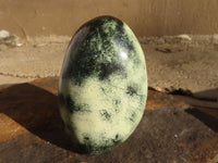 Polished Spotted Leopard Stone Standing Free Forms  x 6 From Zimbabwe - Toprock Gemstones and Minerals 