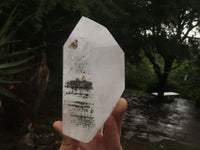 Polished Large Chlorite "Moss" Included Quartz Crystal x 1 From Madagascar - TopRock