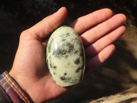 Polished Spotted Leopard Stone Standing Free Forms  x 6 From Zimbabwe - Toprock Gemstones and Minerals 