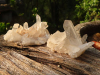 Natural Small Mixed Quartz Clusters  x 35 From Madagascar - Toprock Gemstones and Minerals 