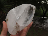 Polished Large Chlorite "Moss" Included Quartz Crystal x 1 From Madagascar - TopRock