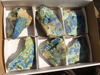 Natural Azurite & Malachite On Dolomite Specimens  x 6 From Kaokoveld, Namibia - Toprock Gemstones and Minerals 