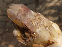 Natural Extra Large Red Hematoid Quartz Cluster  x 1 From Karoi, Zimbabwe - TopRock