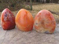 Polished Carnelian Agate Standing Free Forms  x 6 From Madagascar - TopRock