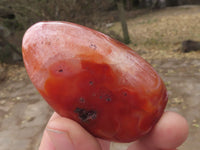 Polished Carnelian Agate Standing Free Forms  x 6 From Madagascar - TopRock