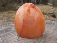 Polished Carnelian Agate Standing Free Forms  x 6 From Madagascar - TopRock