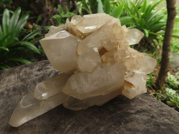 Natural Groovy Pair Of Quartz Clusters  x 2 From Southern Africa - TopRock