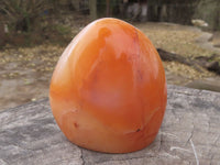 Polished Carnelian Agate Standing Free Forms  x 6 From Madagascar - TopRock