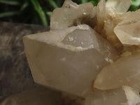 Natural Groovy Pair Of Quartz Clusters  x 2 From Southern Africa - TopRock