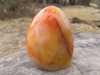 Polished Carnelian Agate Standing Free Forms  x 6 From Madagascar - TopRock