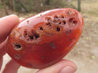 Polished Carnelian Agate Standing Free Forms  x 6 From Madagascar - TopRock