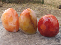 Polished Carnelian Agate Standing Free Forms  x 6 From Madagascar - TopRock