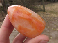 Polished Carnelian Agate Standing Free Forms  x 6 From Madagascar - TopRock