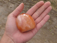 Polished Carnelian Agate Standing Free Forms  x 6 From Madagascar - TopRock