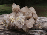 Natural Smokey White Phantom Quartz Cluster x 1 From Luena, Congo - TopRock