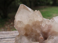 Natural Smokey White Phantom Quartz Cluster x 1 From Luena, Congo - TopRock