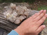 Natural Smokey White Phantom Quartz Cluster x 1 From Luena, Congo - TopRock