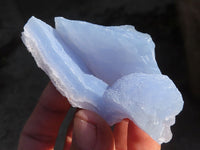 Natural Etched Blue Chalcedony Specimens  x 12 From Nsanje, Malawi