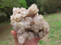 Natural Smokey White Phantom Quartz Cluster x 1 From Luena, Congo - TopRock