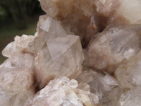 Natural Smokey White Phantom Quartz Cluster x 1 From Luena, Congo - TopRock