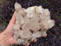 Natural Smokey White Phantom Quartz Cluster x 1 From Luena, Congo - TopRock