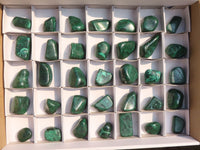 Polished Small Malachite Tumble Stones  x 35 From Congo - Toprock Gemstones and Minerals 