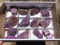 Natural Selected Rough Purpurite Specimens  x 14 From Namibia - TopRock