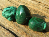 Polished Small Malachite Tumble Stones  x 35 From Congo - Toprock Gemstones and Minerals 