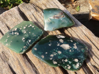 Polished  Emerald Mtorolite / Emerald Chrysoprase Plates  x 12 From Zimbabwe