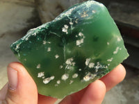 Polished  Emerald Mtorolite / Emerald Chrysoprase Plates  x 12 From Zimbabwe