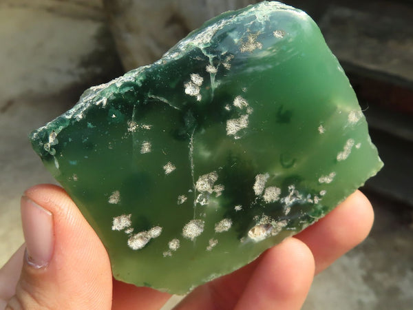 Polished  Emerald Mtorolite / Emerald Chrysoprase Plates  x 12 From Zimbabwe