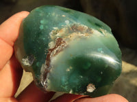 Polished  Emerald Mtorolite / Emerald Chrysoprase Plates  x 12 From Zimbabwe