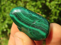 Polished Small Malachite Tumble Stones  x 35 From Congo - Toprock Gemstones and Minerals 