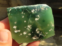 Polished  Emerald Mtorolite / Emerald Chrysoprase Plates  x 12 From Zimbabwe