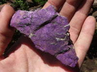 Natural Selected Rough Purpurite Specimens  x 14 From Namibia - TopRock