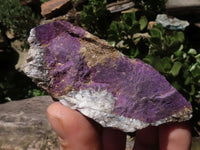 Natural Selected Rough Purpurite Specimens  x 14 From Namibia - TopRock