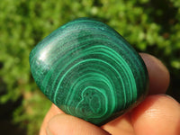 Polished Small Malachite Tumble Stones  x 35 From Congo - Toprock Gemstones and Minerals 