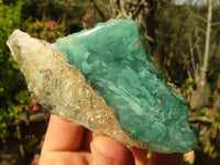 Polished  Emerald Mtorolite / Emerald Chrysoprase Plates  x 12 From Zimbabwe