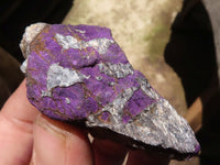 Natural Selected Rough Purpurite Specimens  x 14 From Namibia - TopRock