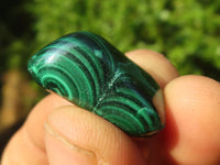 Polished Small Malachite Tumble Stones  x 35 From Congo - Toprock Gemstones and Minerals 