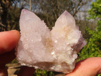 Natural Pale Lilac Spirit Quartz Clusters x 12 From Boekenhouthoek, South Africa