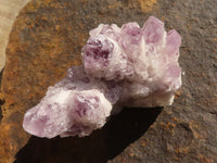 Natural Sugar Amethyst Clusters  x 12 From Solwezi, Zambia - Toprock Gemstones and Minerals 